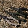 Shimano AD Pliers RH TYPE-F -fishing tackle Sales 2023 1 13b596b6 6c30 4bba b68f bd3e4a585467