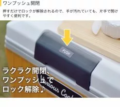 Various Cooler Box 9L & 17L -fishing tackle Sales 2023 26 50291 6