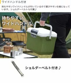 Various Cooler Box 9L & 17L -fishing tackle Sales 2023 26 50291 7