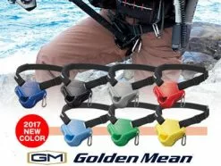 Golden Mean Pad Mini