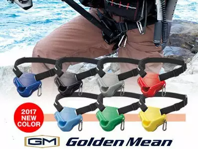 Golden Mean Pad Mini 1 Golden Mean Pad Mini