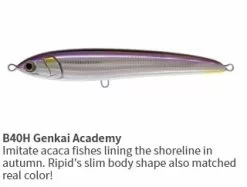 Maria Rapido F230 -fishing tackle Sales 2023 RAPIDO F230 B40H