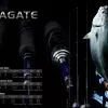 Daiwa Rod - SEAGATE LJ Jigging Rod -fishing tackle Sales 2023 Seagate