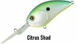 Daiwa STEEZ CRANK 300 / 400 13 Daiwa STEEZ CRANK 300 / 400 -fishing tackle Sales 2023 SteezCrank Citrusshad11259 c3f89339 380b 4991 9c29 2a9e8f52cc7f
