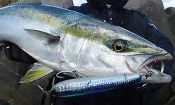 Duel Lure - HARDCOREÂ® BULLET DIVE (F) 140mm/170mm -fishing tackle Sales 2023 ajax upload1648598726yAqXRGBrkYwQ8EDh