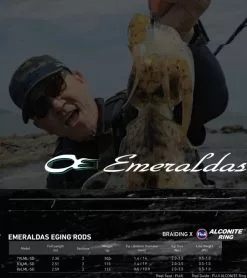 Daiwa Emeraldas Eging Rod