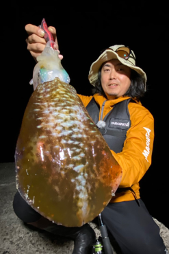 Yamashita EGI OH K SP 3.5D -fishing tackle Sales 2023 img 01