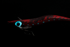 Yamashita EGI OH K SP 3.5D -fishing tackle Sales 2023 img 03