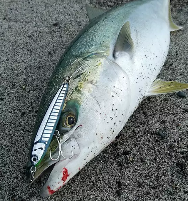 Maria Rerise S105 7 Maria Rerise S105 - Image 7