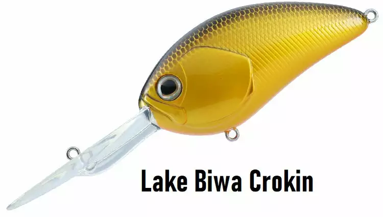 Daiwa STEEZ CRANK 300 / 400 2 Daiwa STEEZ CRANK 300 / 400 - Image 2