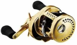 Shimano Calcutta Conquest 2014