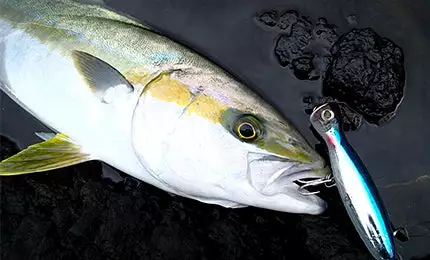 Duel Lure - HARDCORE® BULLET Bull 130mm/160mm 2 Duel Lure - HARDCORE® BULLET Bull 130mm/160mm - Image 2