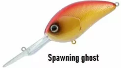 Daiwa STEEZ CRANK 300 / 400 12 Daiwa STEEZ CRANK 300 / 400 -fishing tackle Sales 2023 spwaningghost21456 c1a41948 69a7 4c28 8b97 02b5079bbe94