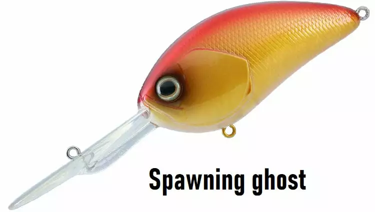 Daiwa STEEZ CRANK 300 / 400 4 Daiwa STEEZ CRANK 300 / 400 - Image 4