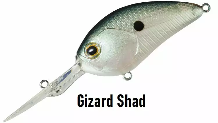 Daiwa STEEZ CRANK 300 / 400 6 Daiwa STEEZ CRANK 300 / 400 - Image 6